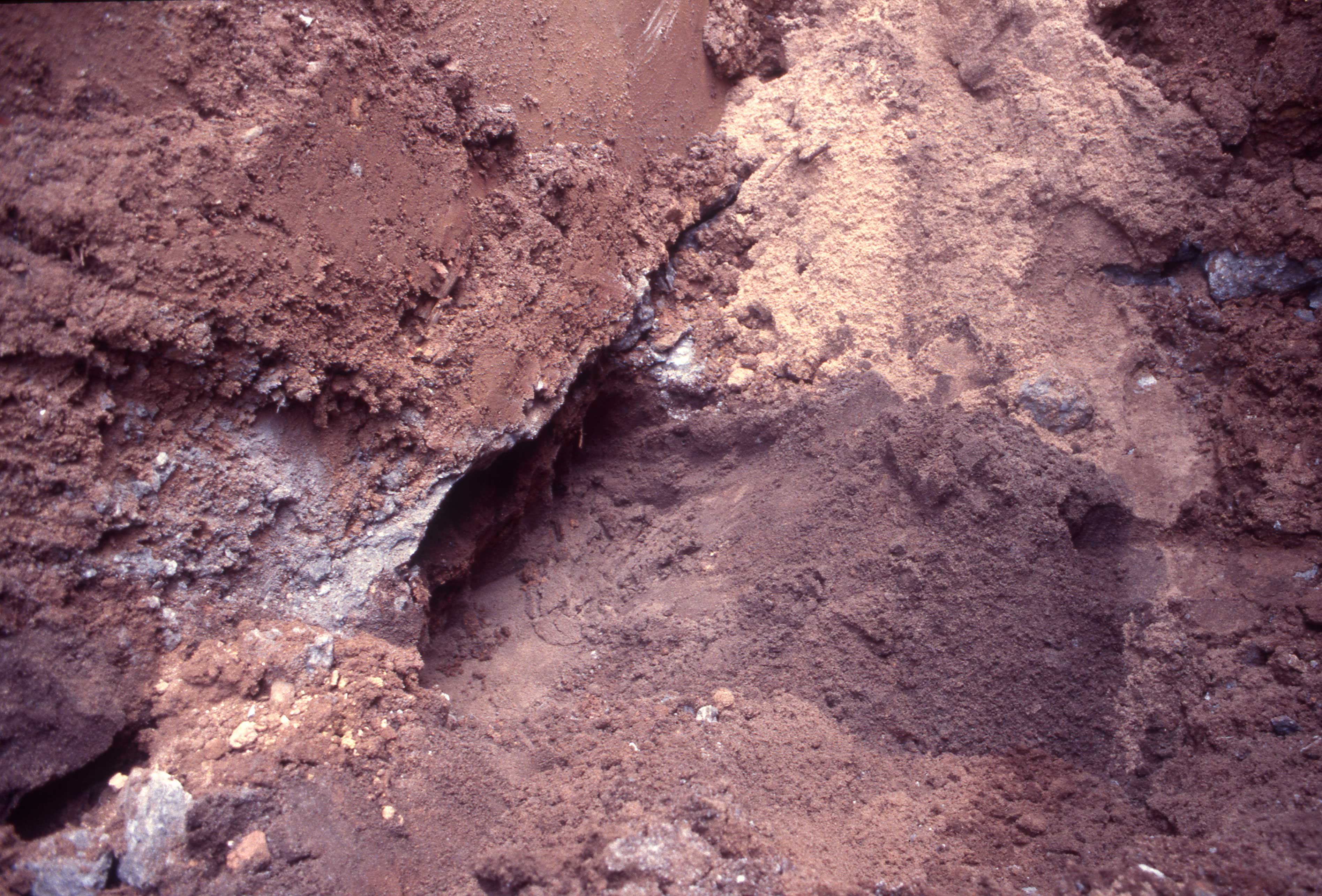 July 18 2000 black sand layer in trench excavated by backhoe.