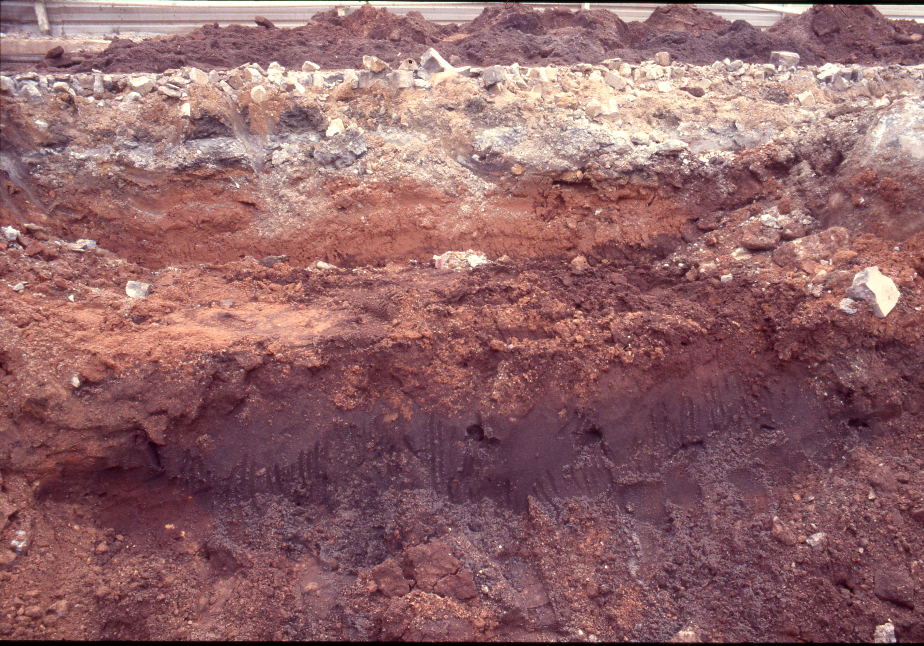 Square II-1 showing boundary between black sand and overlying 19th century layer.