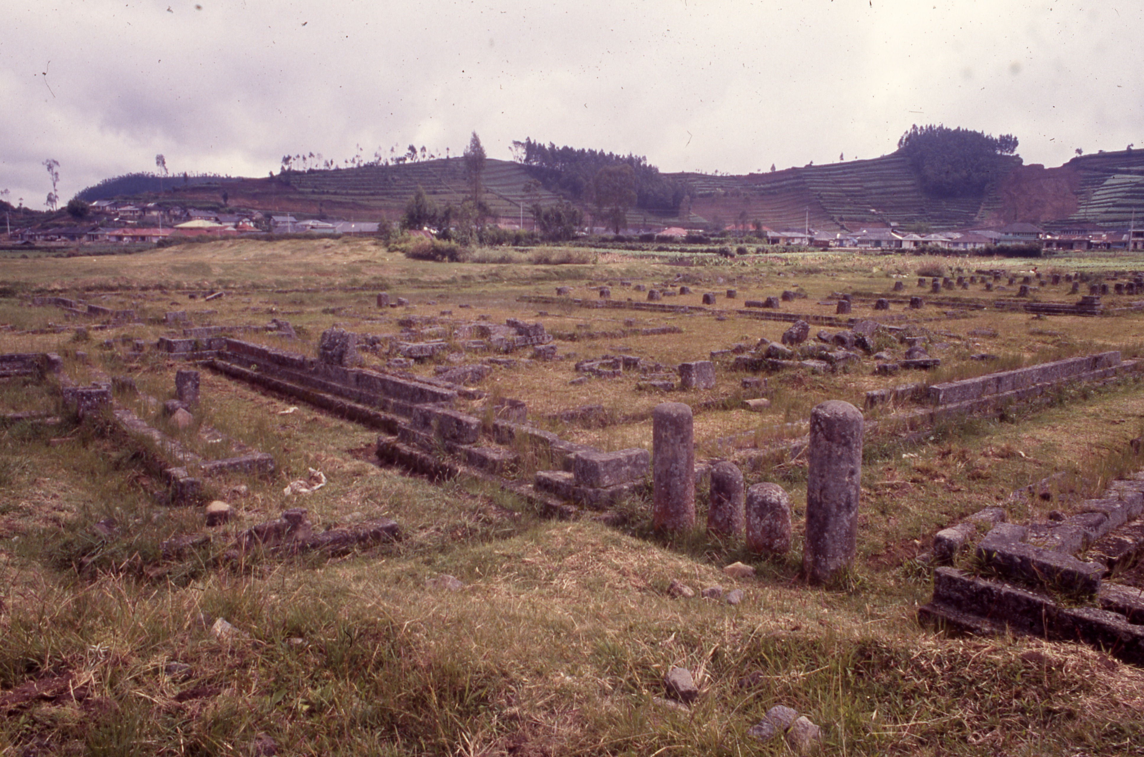 Monastery area including Dharmasala.