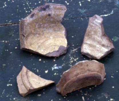 Photo 10 Tang sherds found beside walkway in 1982.