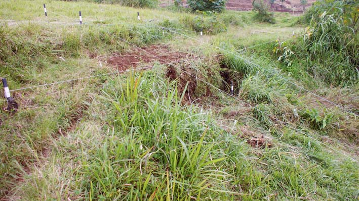 Photo 20. Profile of TP1 with temple stones protruding from left (south) face