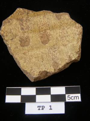 Photo 22 TP1 Spit 2 No 1 Purplish stoneware