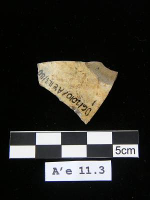 Photo 81 A’e11.3 Spit 4 No 1