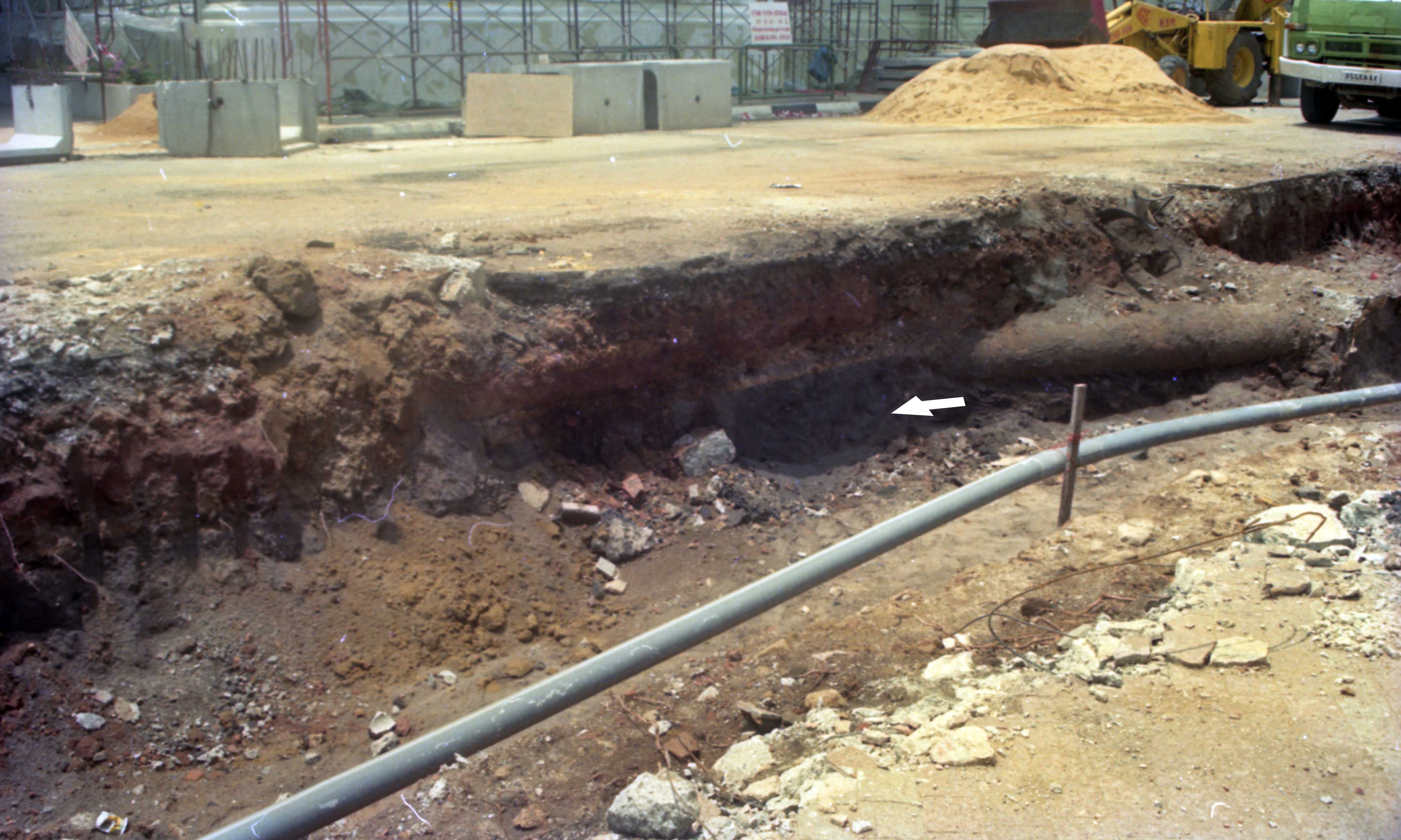 Figure 1. The 1990 trench showing the 14th-century CE black sand layer (indicated by the arrow)