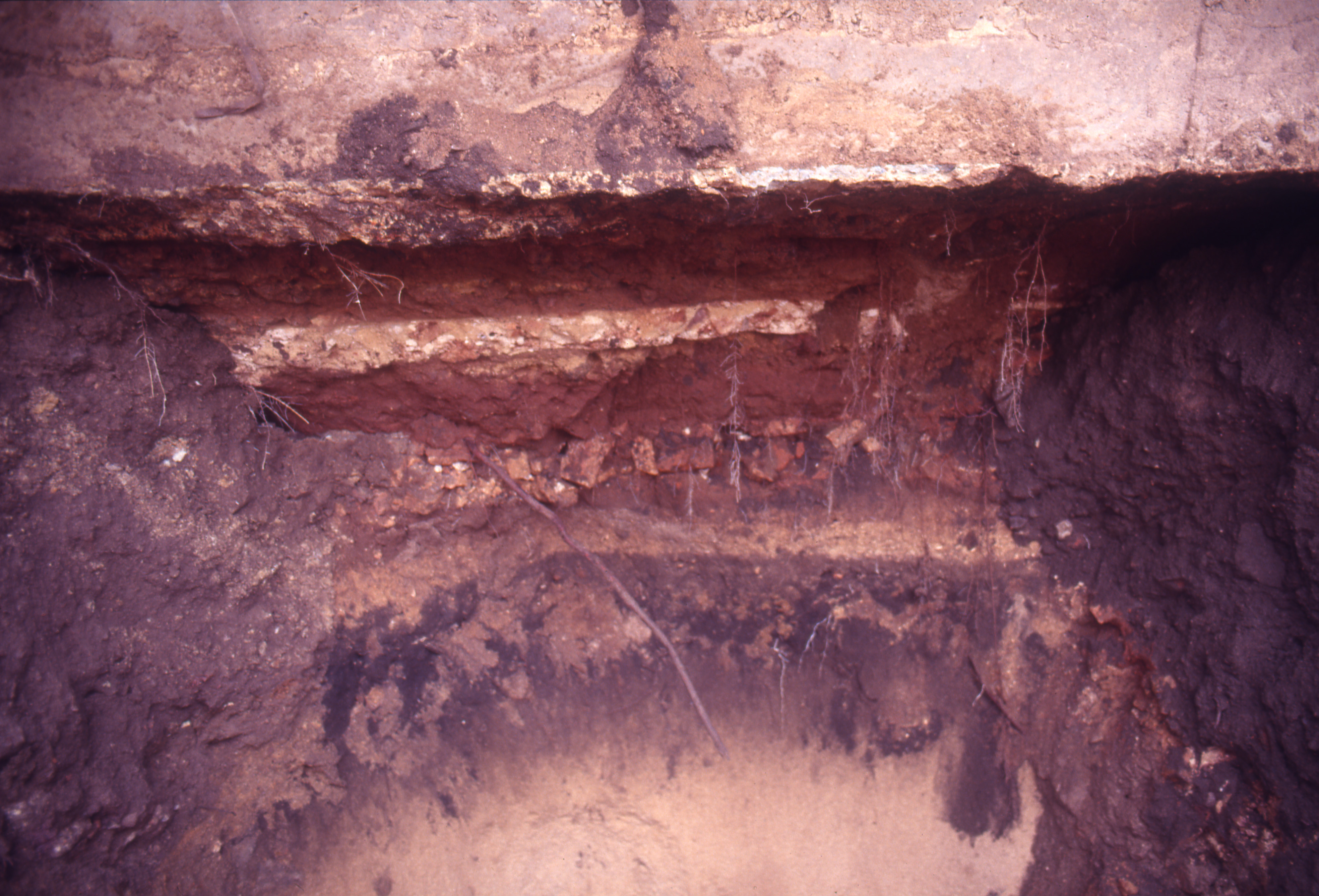 Figure 4. Black Artefact-bearing layer southwest of Empress Place