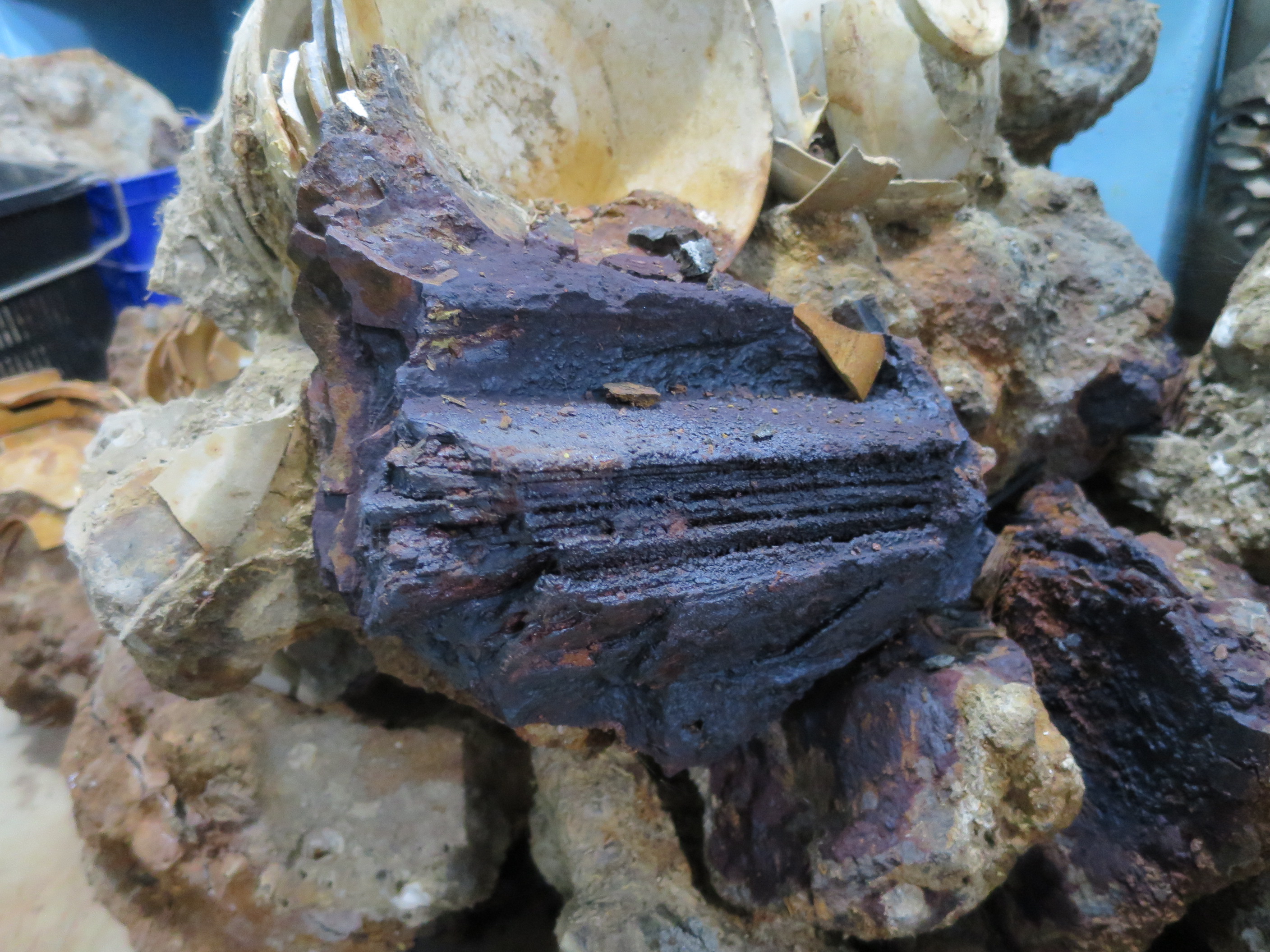 A stack of fine wrought iron bars or blades.