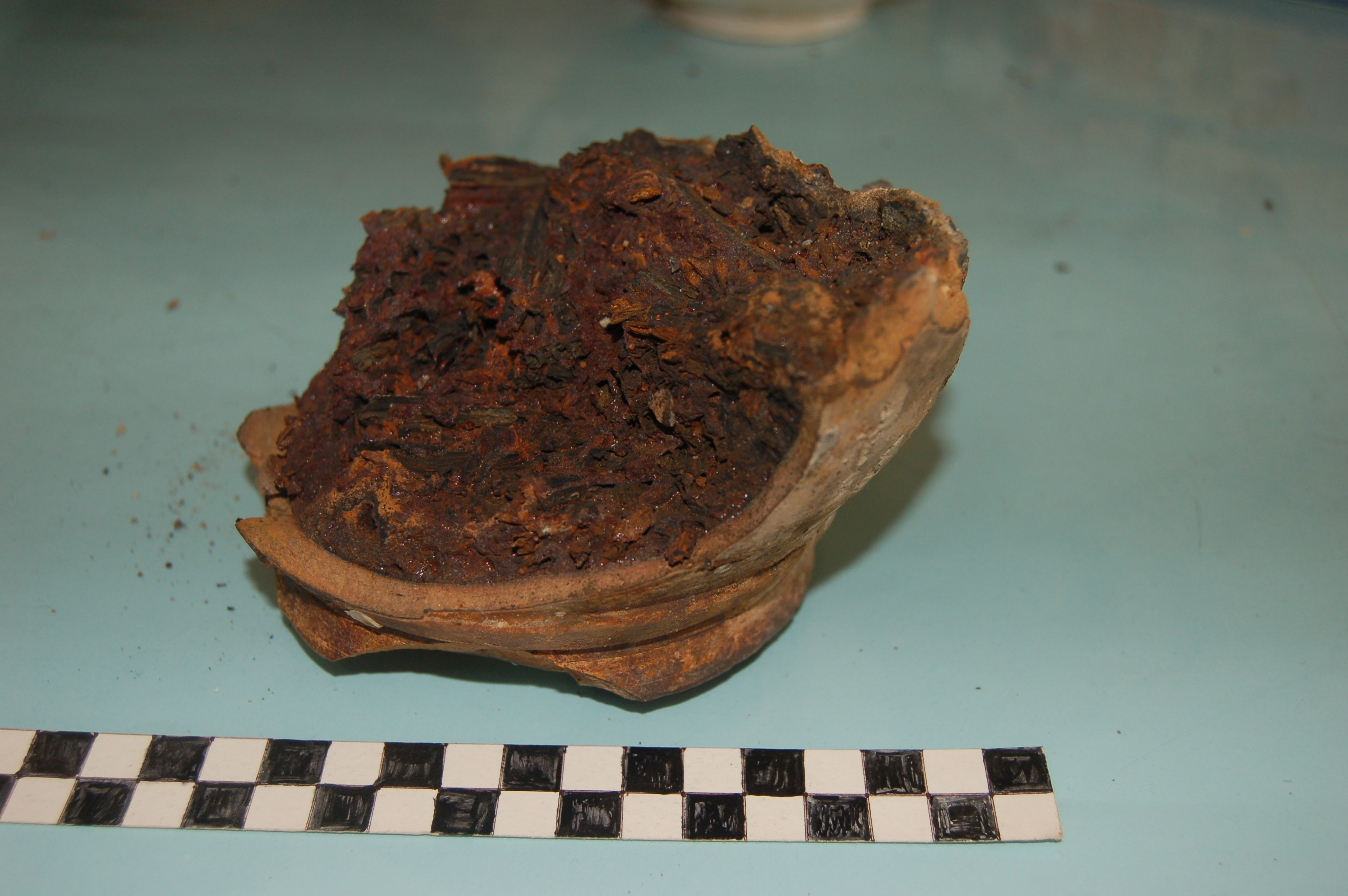 Iron nail concretion in stoneware jar.