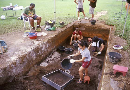 Excavation in TP2.