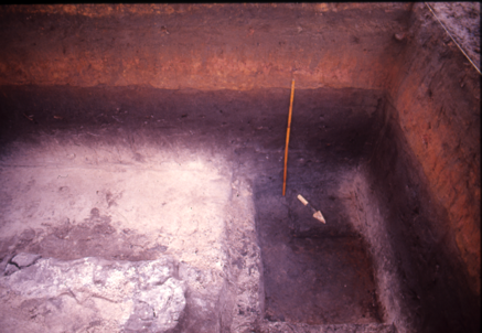 TP1, feature in the southeast corner of the pit.