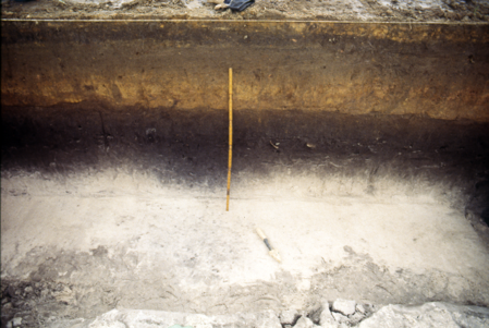 TP1, south profile. The layer of black sand contains the Temasek Period artifacts.