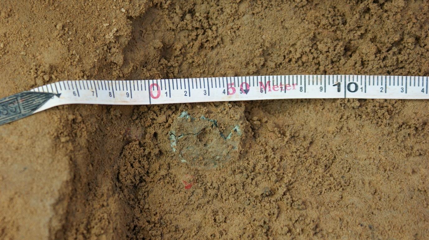 Figure 65. Yuan bronze coin in situ at the FTCSG site