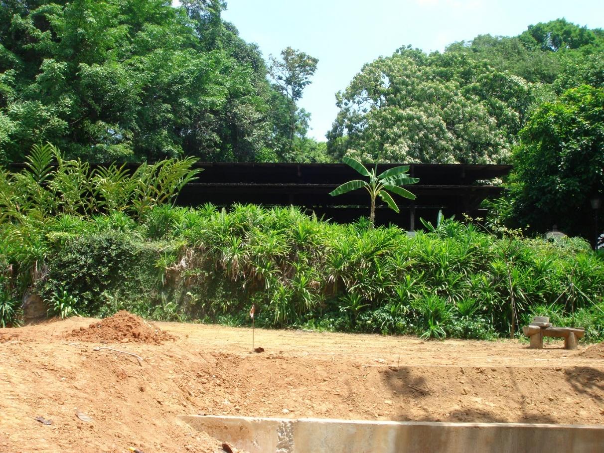 Figure 3. The area identified for the excavation at the Fort Canning Spice Garden (FTCSG) site, 7, April 2010. The roof of the Fort Canning Archaeological Dig Site is visible in the background