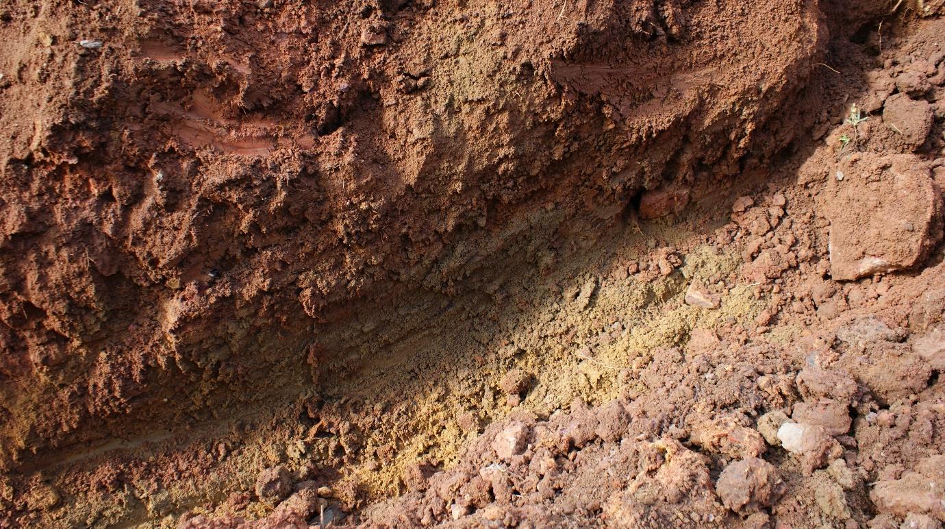 Figure 5. The 14th-century layer exposed by the construction project (see Figure 4 above)