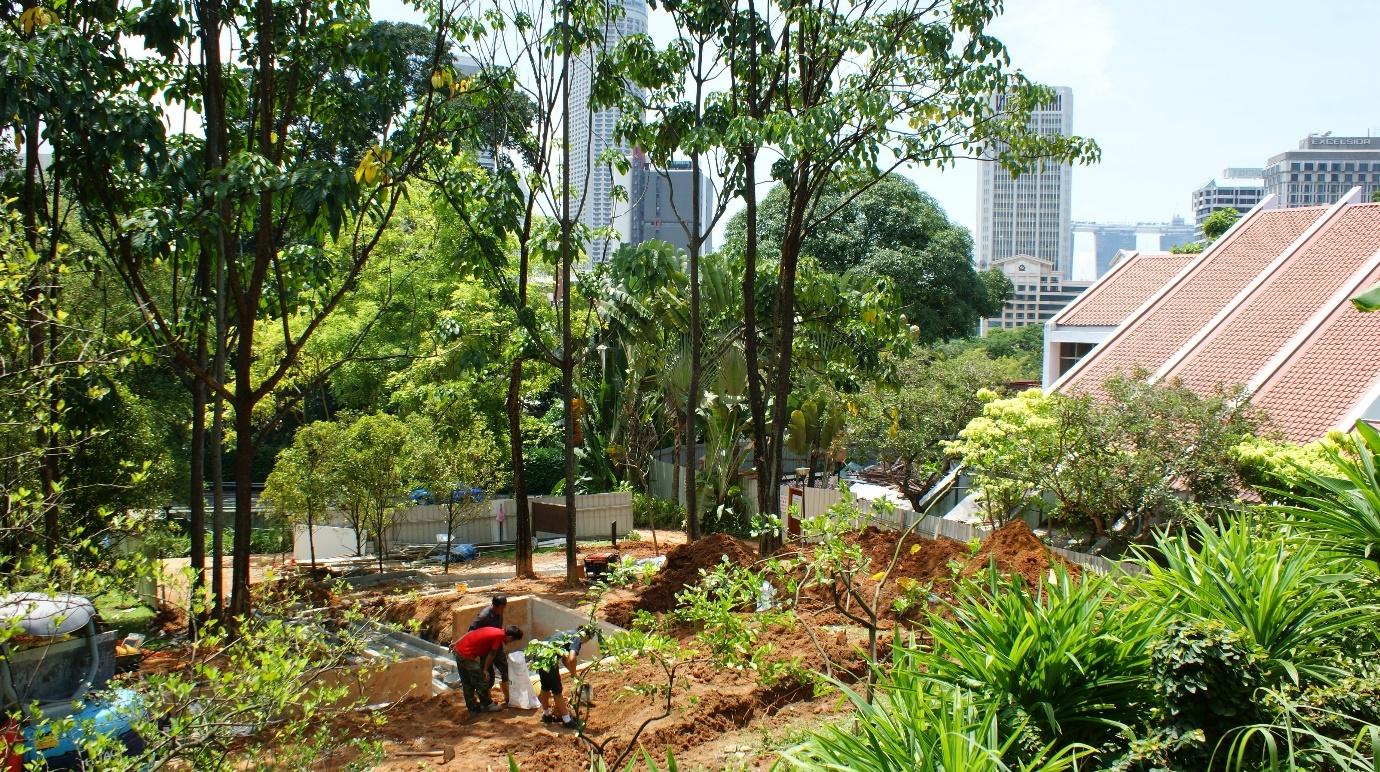 Figure 7. The FTCSG site as seen from the Fort Canning Archaeological Dig site above. The Registry of Marriage is visible on the right side of the image and the Singapore skyline forms the background