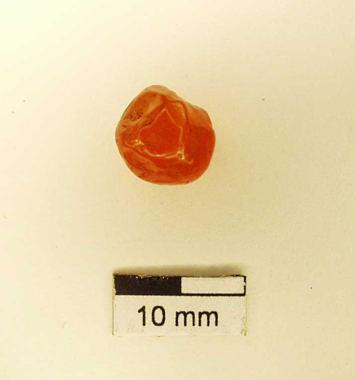 Figure 18: An example of a few carnelian stone beads recovered from the STA site
