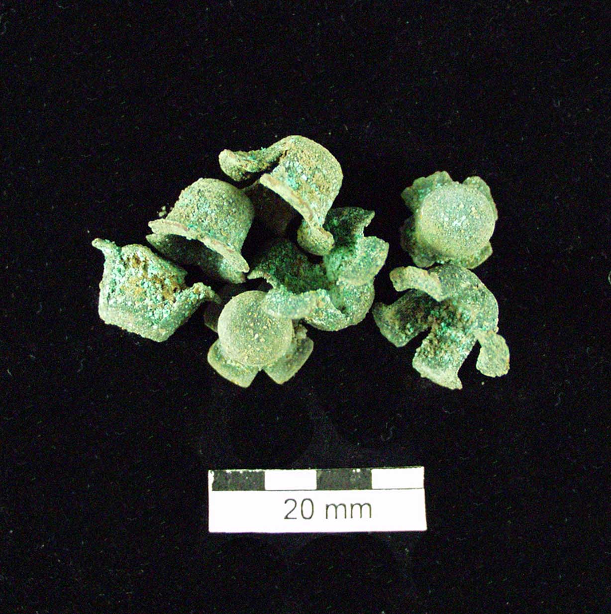 Figure 22: Another example of military paraphernalia: percussion caps, which were used as detonator for igniting firearm charges in guns, such as revolvers, c. mid-19th century to early 20th century
